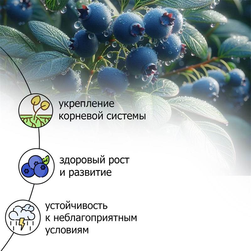01dff793-1cd4-11ea-b8bd-00d8617040a4_3