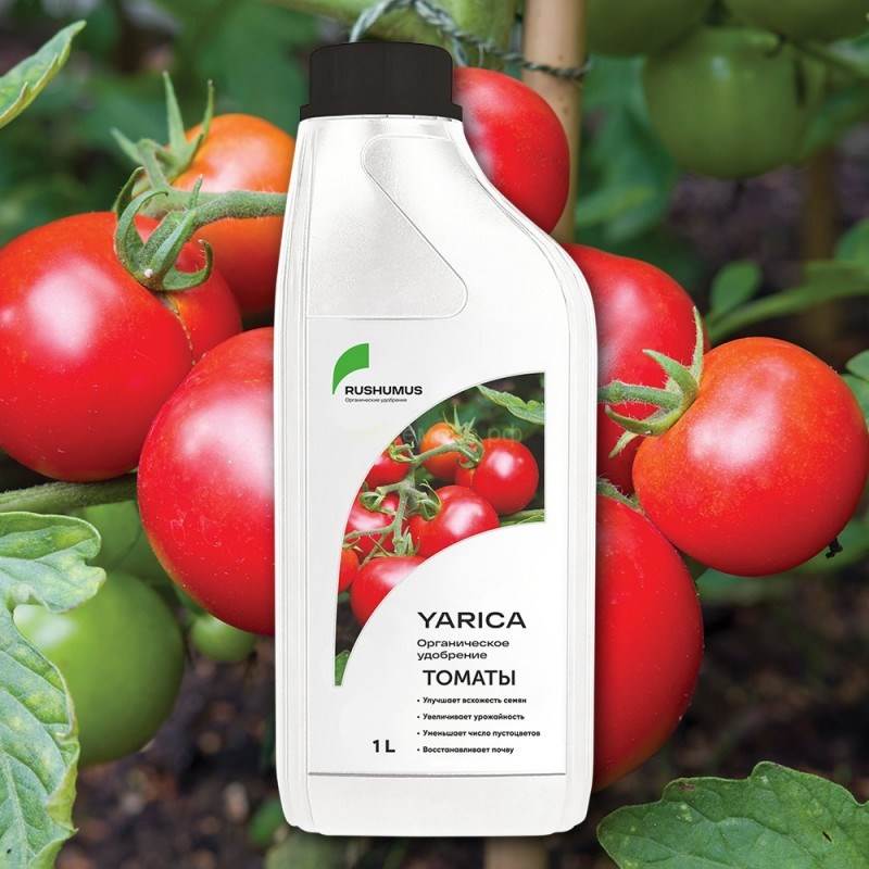 томаты 1