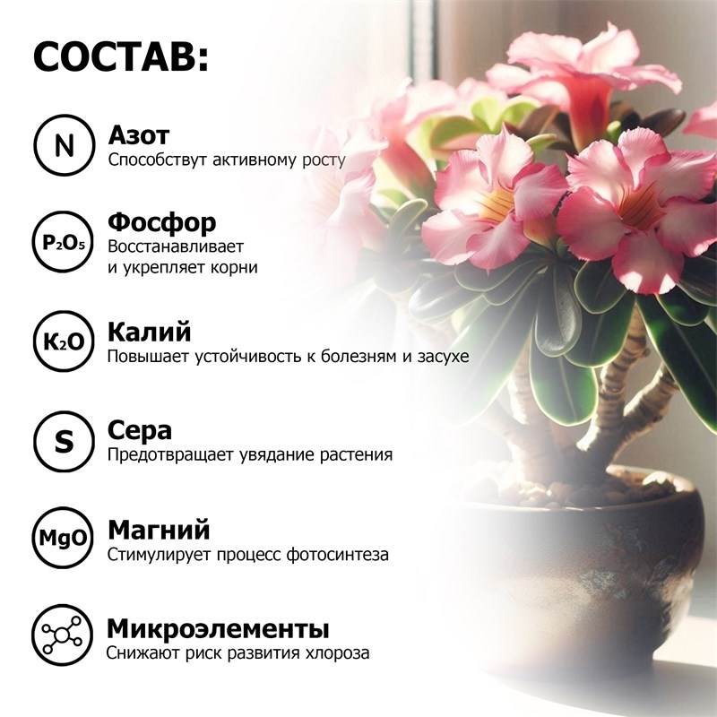 89bc06ae-6e20-11ef-84a0-00d8617040a4_4