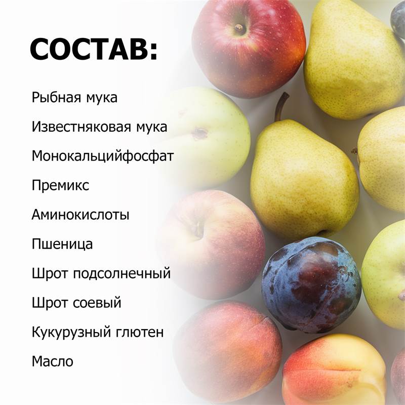 9c33b516-edff-11ef-84ab-00d8617040a4_5