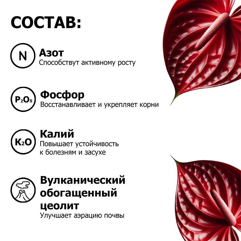 a8b468da-2200-11ee-8488-00d8617040a4_4