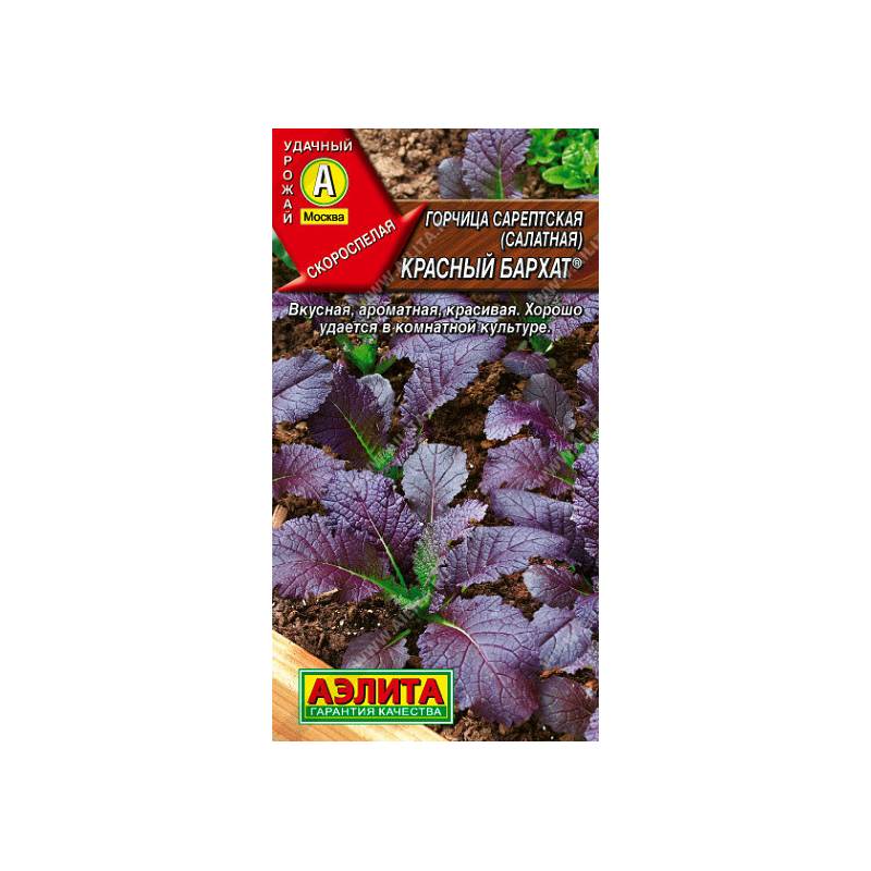 48076_1_C3BCDCAB-D5CA-4CF5-9BE1-8BAF02AA721C