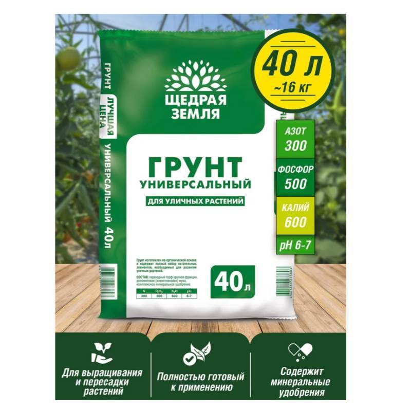 Снимок экрана 2025-04-11 130832