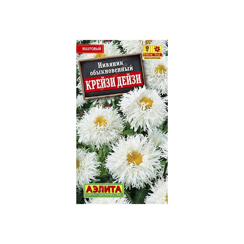 49503_1_7E6C3EED-35B8-4C78-A498-947A4AC00E9F