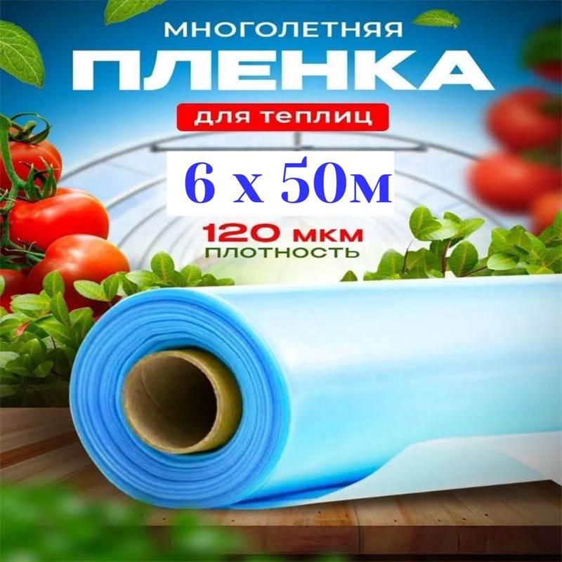 6х50м