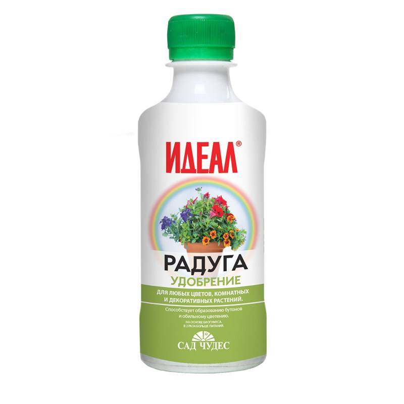Радуга 0,25