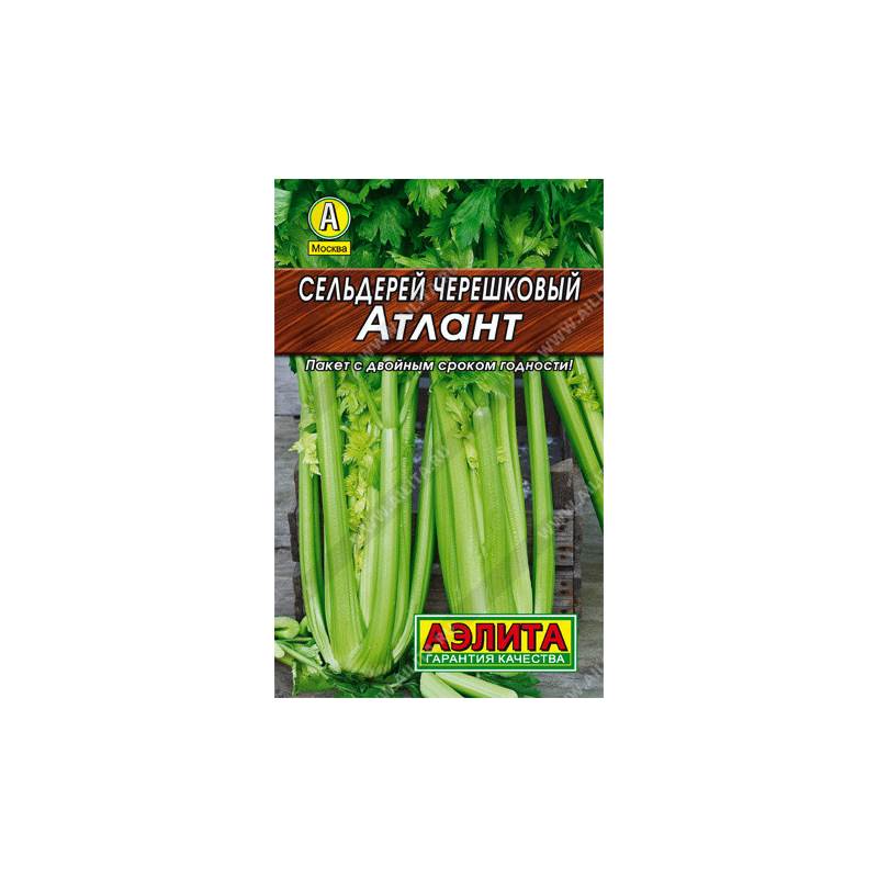 47837_1_4B19A6DD-3B66-4E66-9AC7-F53F9B56C959