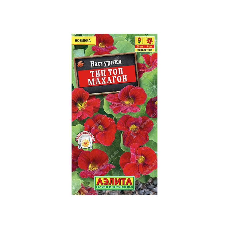 38365_1_5B2340BE-197C-42B0-B736-64BF52E356B0