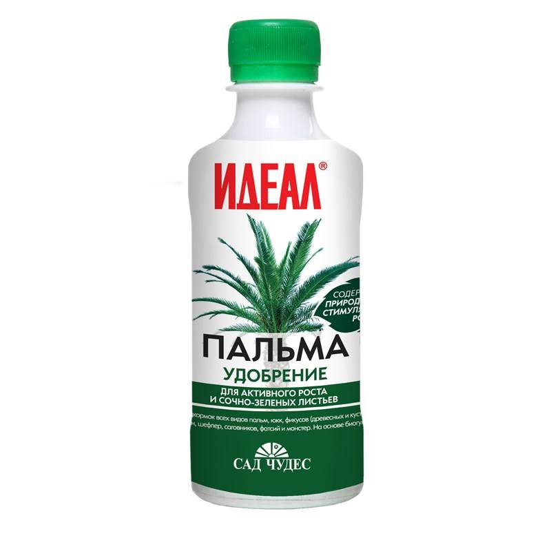 Пальма 0,25