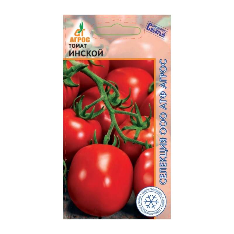 томат инской