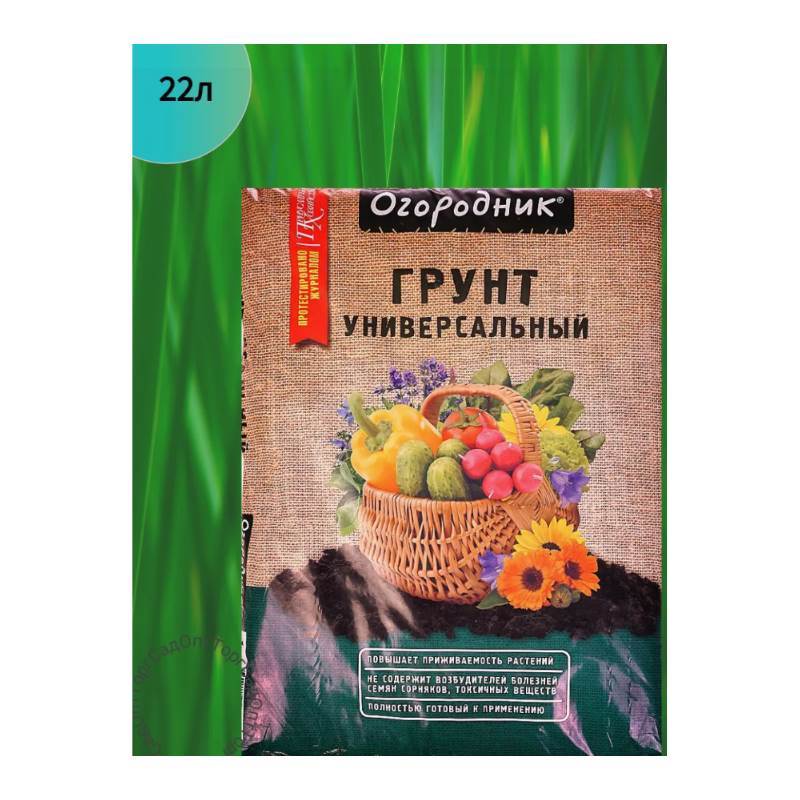 Снимок экрана 2025-04-11 130250