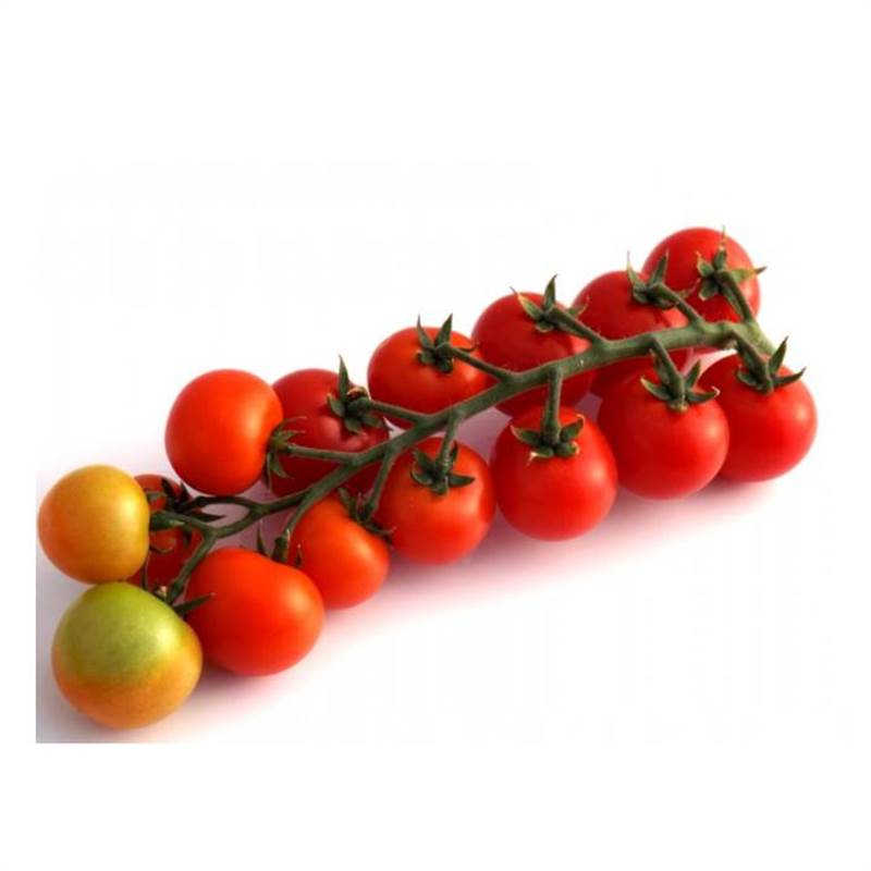 Семена ТОМАТ ИНДЕТЕРМИНАНТНЫЙ ЭКЗОТИКА РИО БАМБИНО F1 50 шт