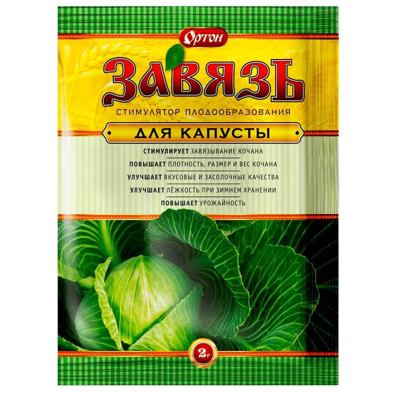 Завязь Капуста