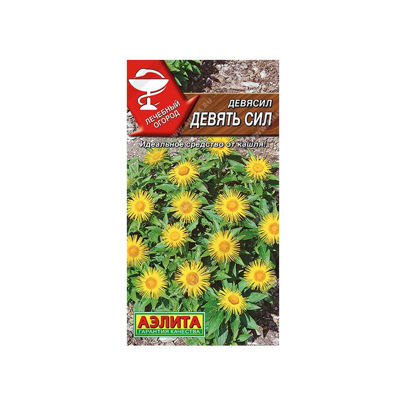 36588_1_68D9179C-D581-4806-A96D-62BED4B94908