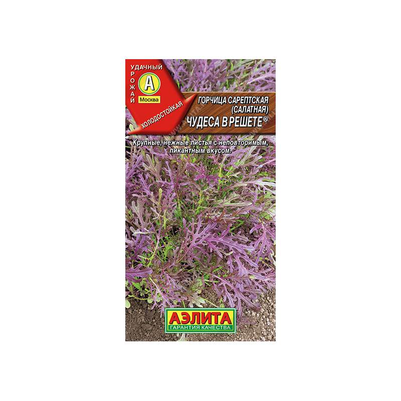 48079_1_611288A1-69B1-46F2-9340-961F3595BDD9