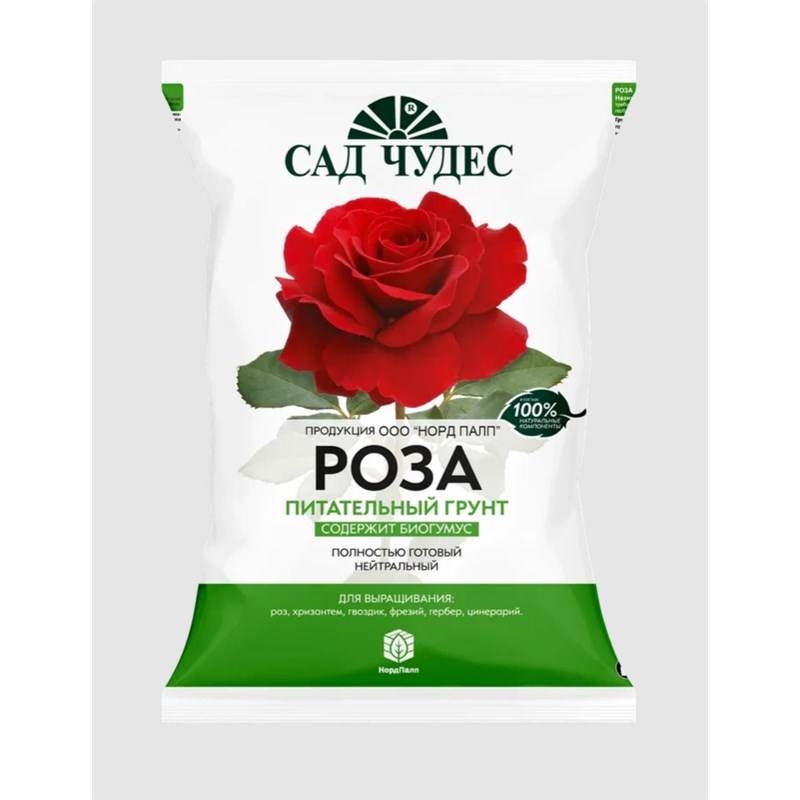 роза 2,5