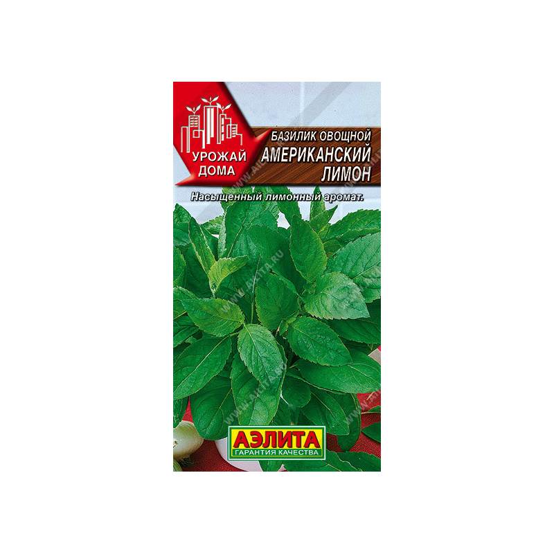 48004_1_9D000B7C-0CBB-4328-9B39-976CCF53592F