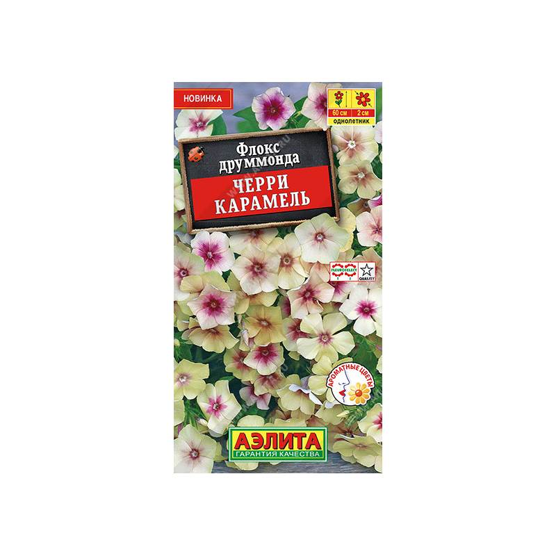 49696_1_B28871A5-8C81-43C4-860B-22CC9A52560C