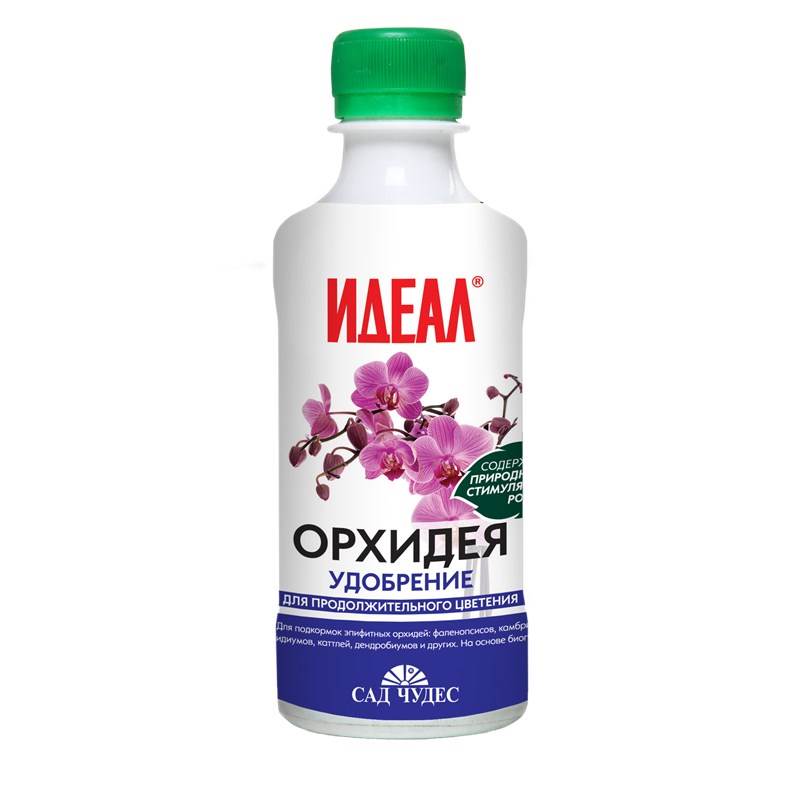 Орхидея 0,25 1