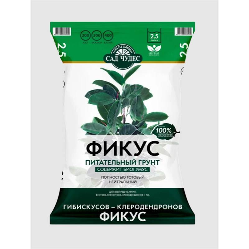 фикус 2,5
