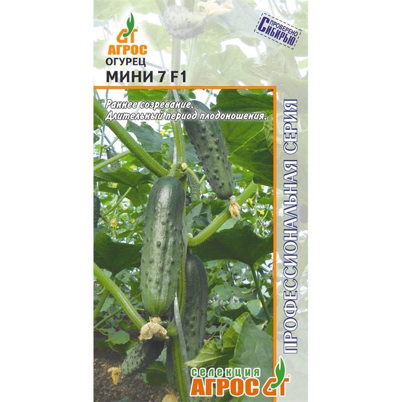 Огурец Мини 7 F1-st