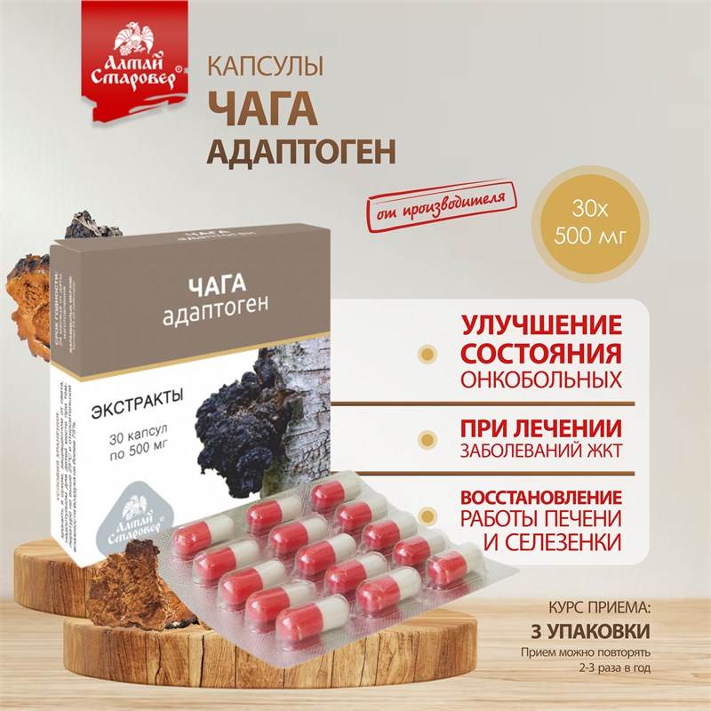 Чага 1-1