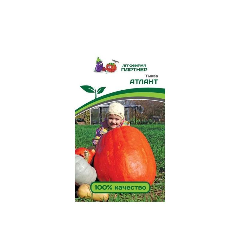 50554_1_3676AA44-47E5-4408-A21A-9CD8D713CDFB