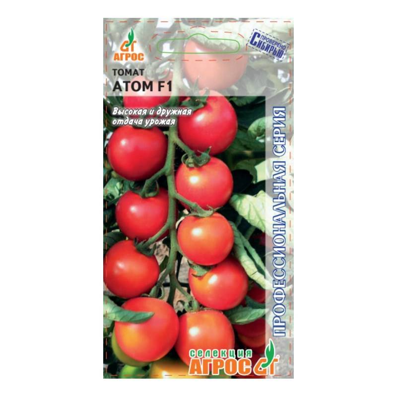 томат атом