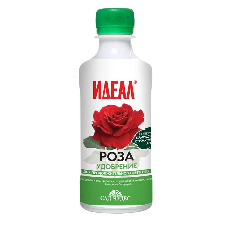 Rosa 0,25