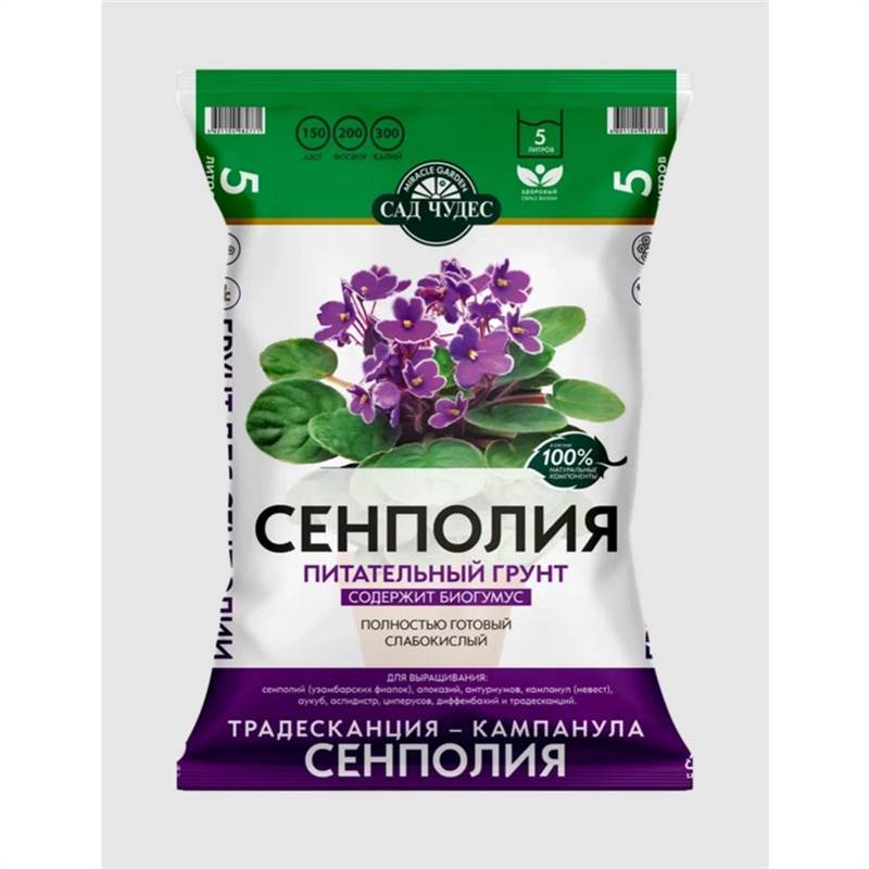 сенполия 5