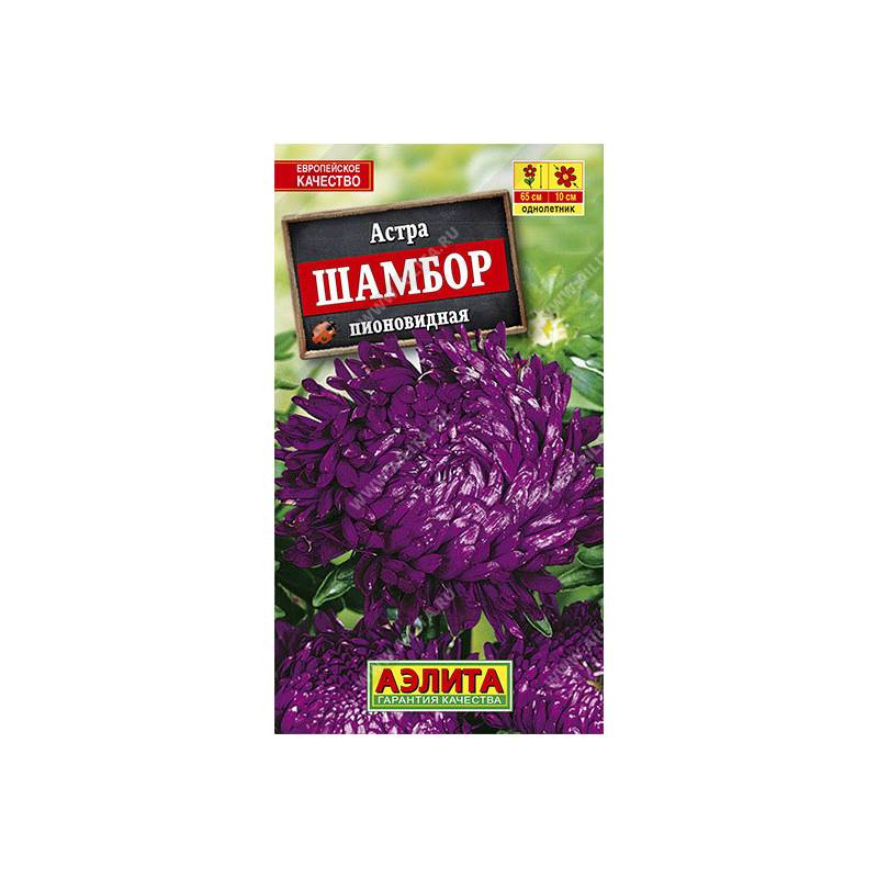 49024_1_02270A51-6639-4FD9-B030-5A5351FE00F7