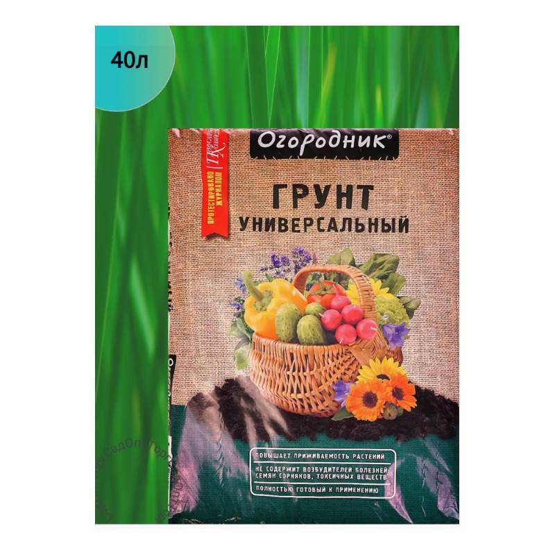 Снимок экрана 2025-04-11 130149