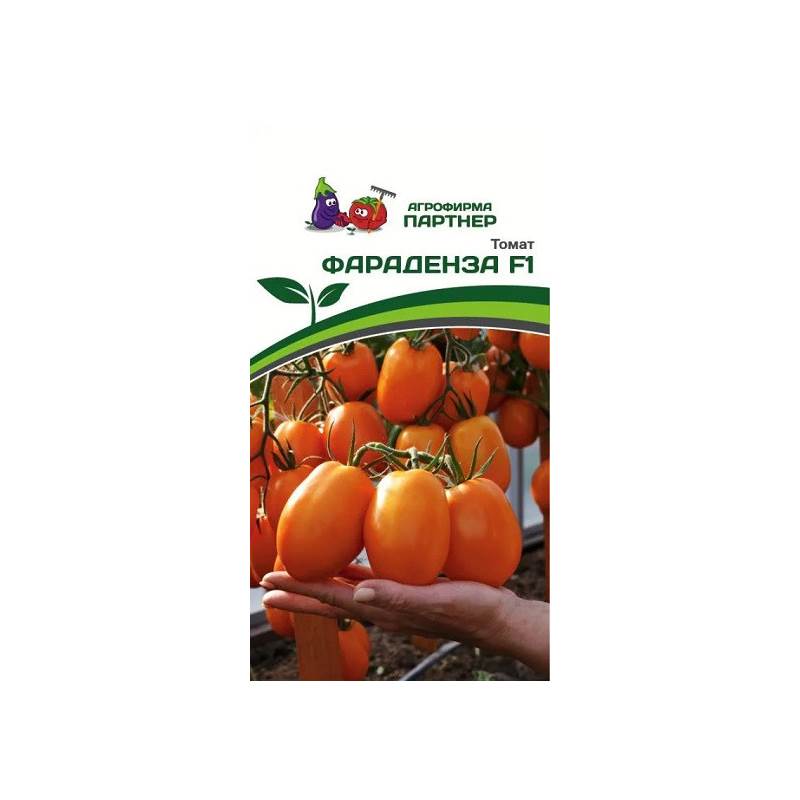 50531_1_2E082F73-30CE-4989-9109-36E66484BCE5