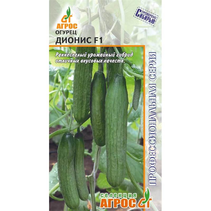 Огурец ДИОНИС F1-st