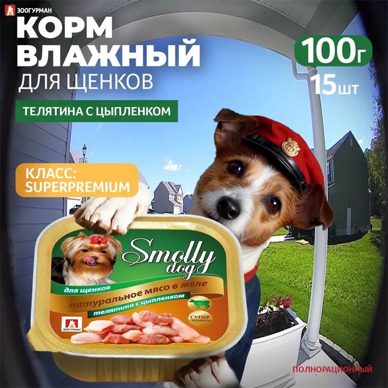 7011440501 (convert.io)