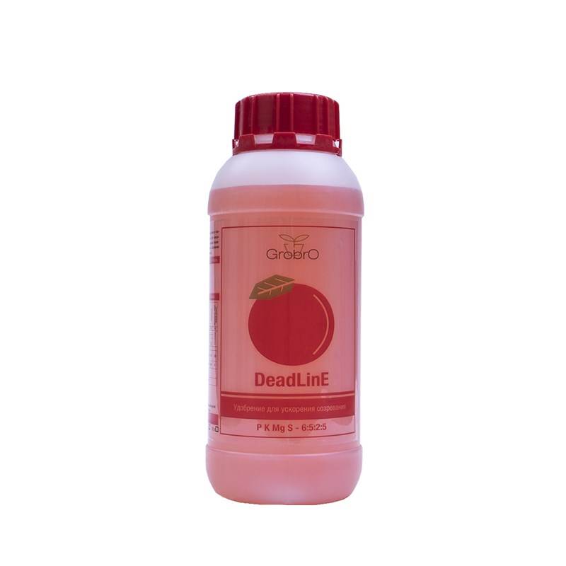 DeadLine 500 ml