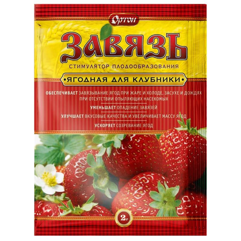 Завязь Клубника-