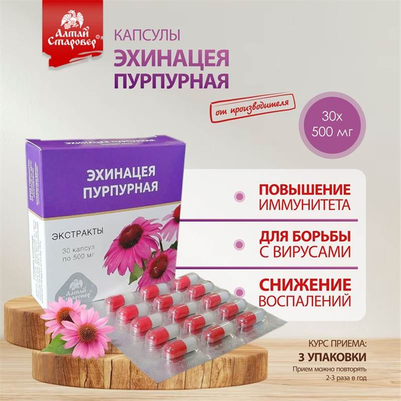 Эхинацея 1-1