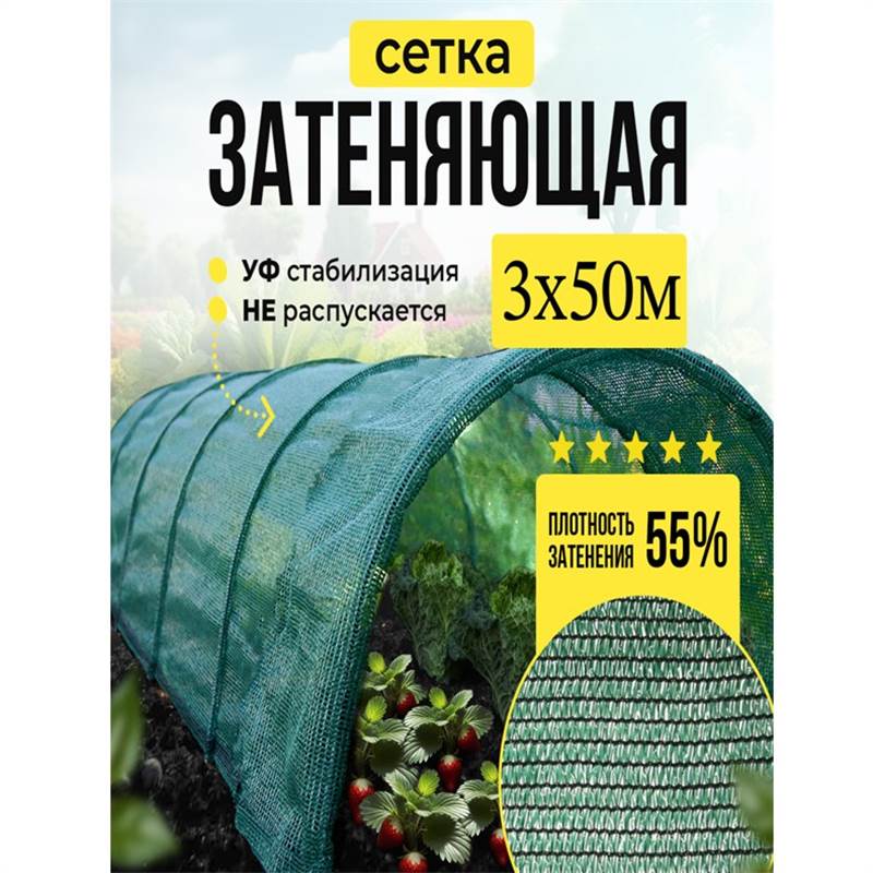 55 3х50