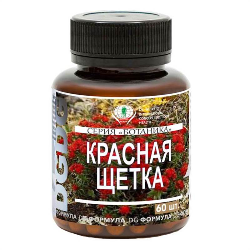 Ботаника Красная щетка - 1