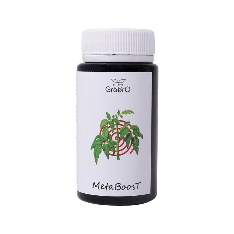 MetaBoosT 100