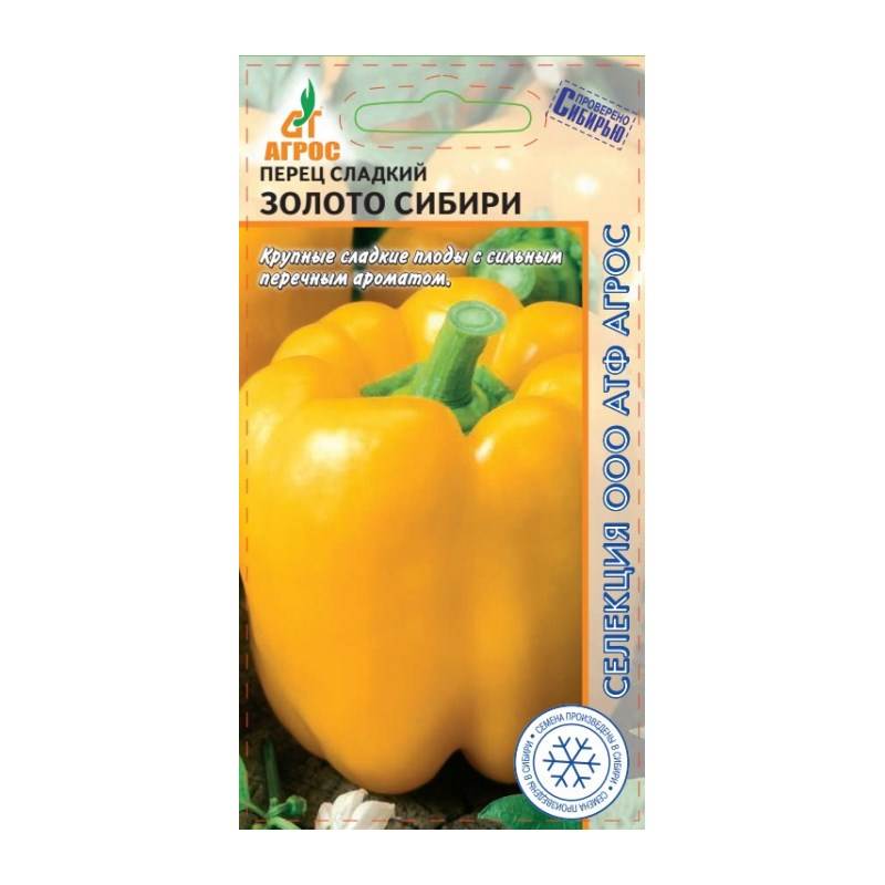 перец золото сибири