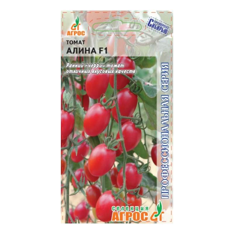 томат алина