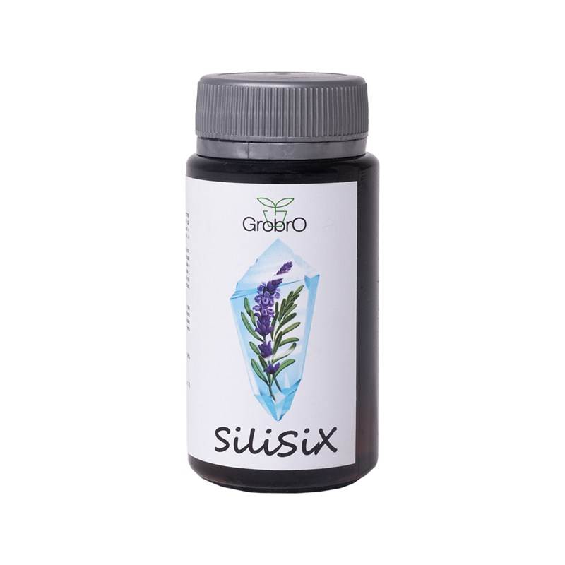 SiliSiX 100