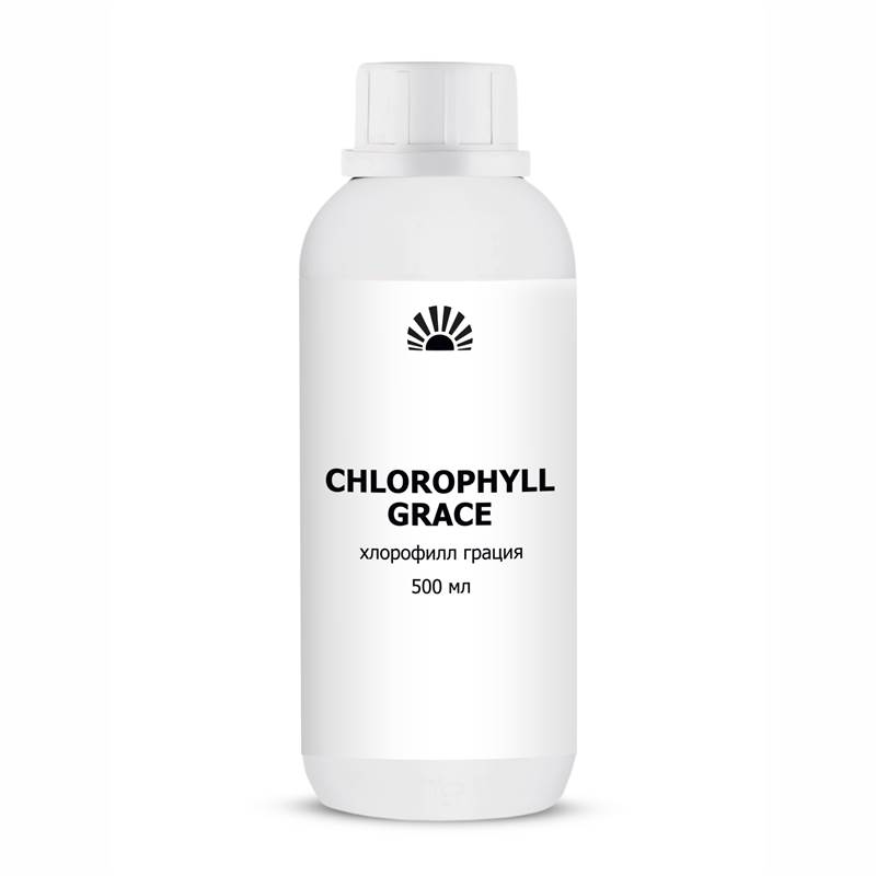 22f0f836-742a-11f0-84b8-00d8617040a4-purshatbadvordor_0