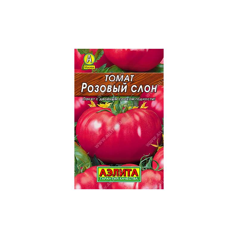 47855_1_A69EB6C3-3F99-4121-904D-377193D3D6C4