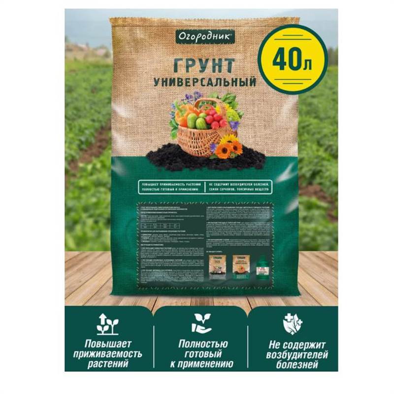 Снимок экрана 2025-04-11 130026