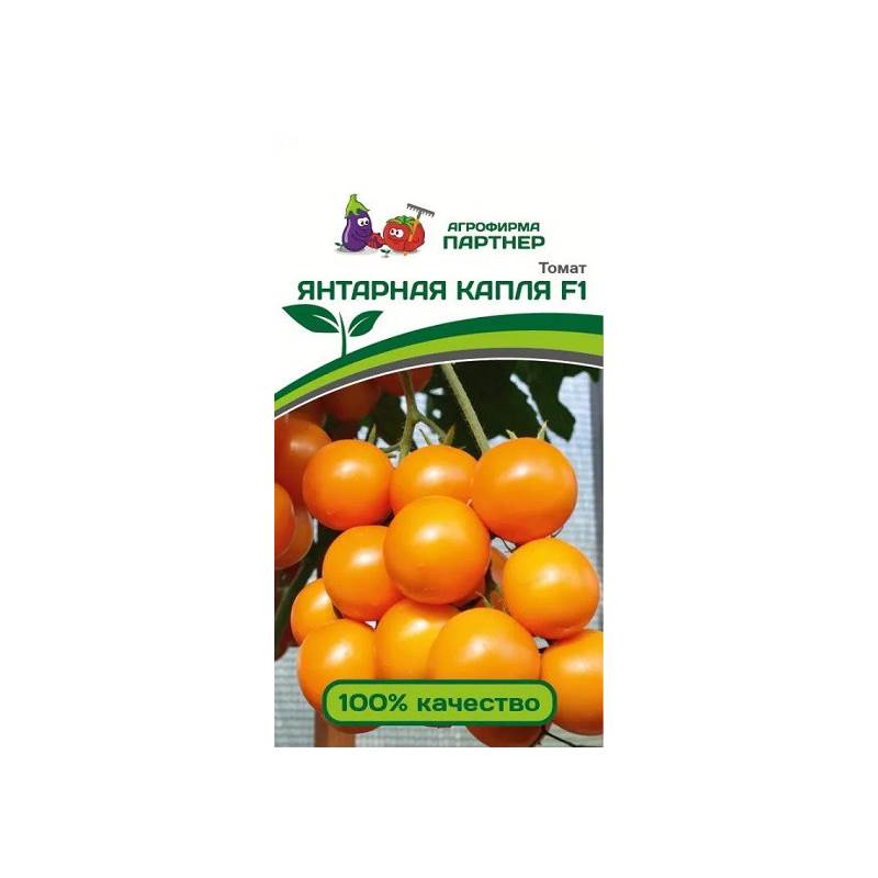 50551_1_C4B14CC8-B07E-46F9-B0CE-6E1886D219DC