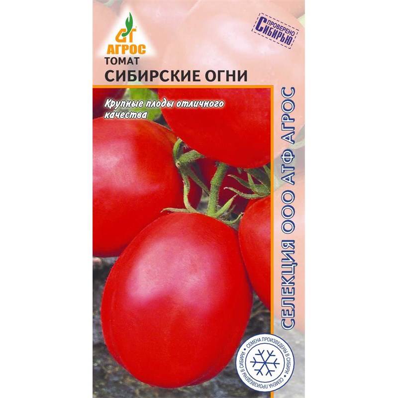 Томат Сибирские огни-st