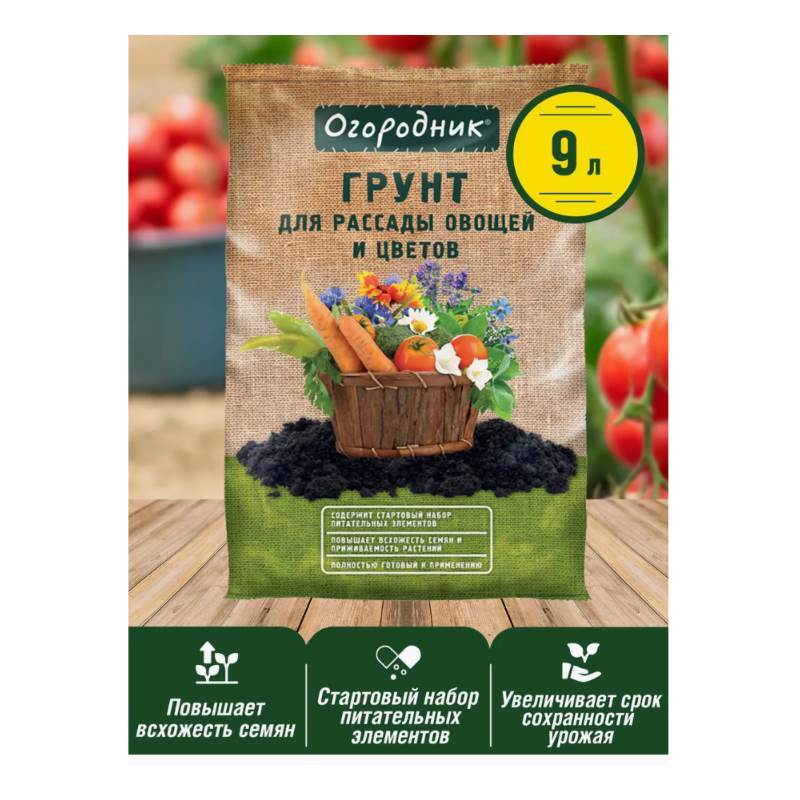 Снимок экрана 2025-04-11 125746